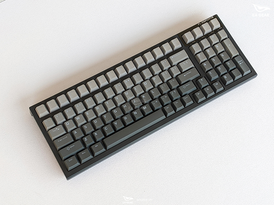 FL-ESPORT FL100
